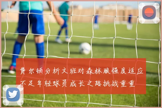 费尔顿分析文班对森林狼强度适应不足年轻球员成长之路挑战重重